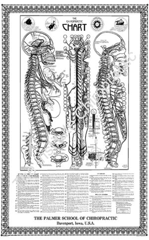 Stephenson’s Chiropractic Chart 24 by 36